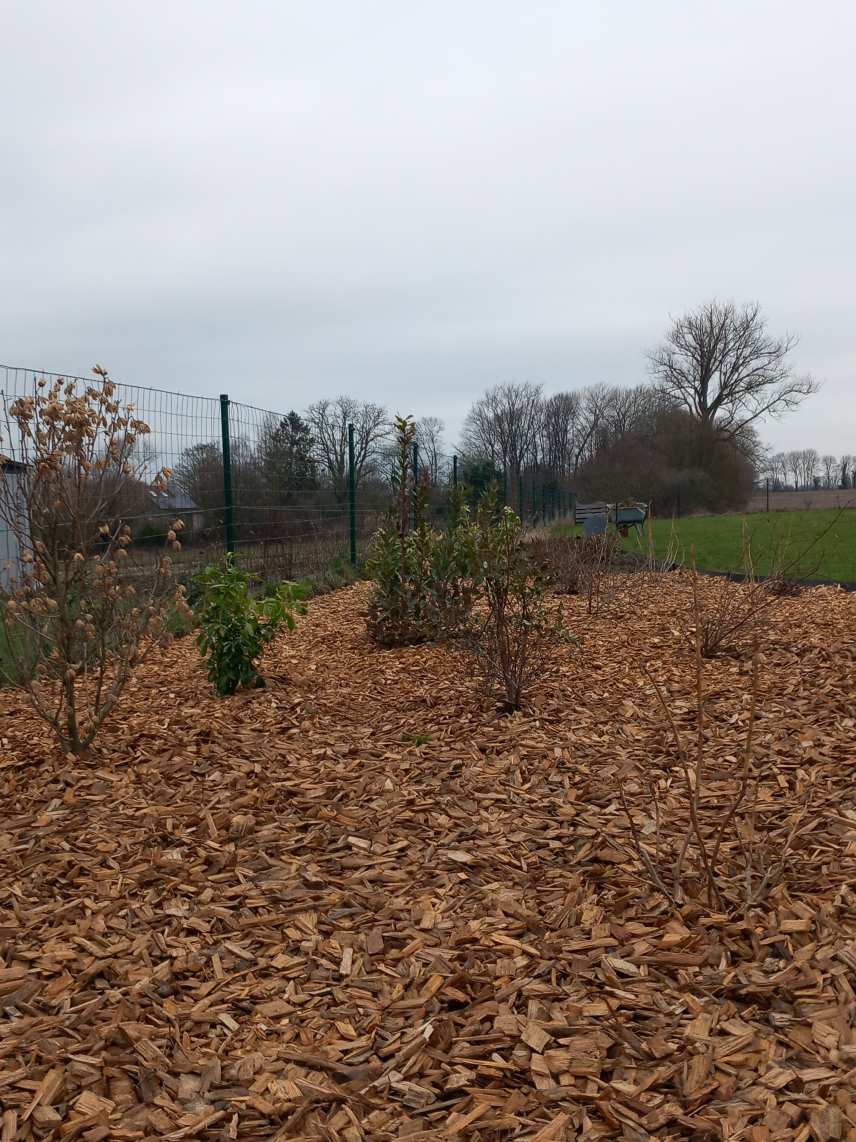 plantations
