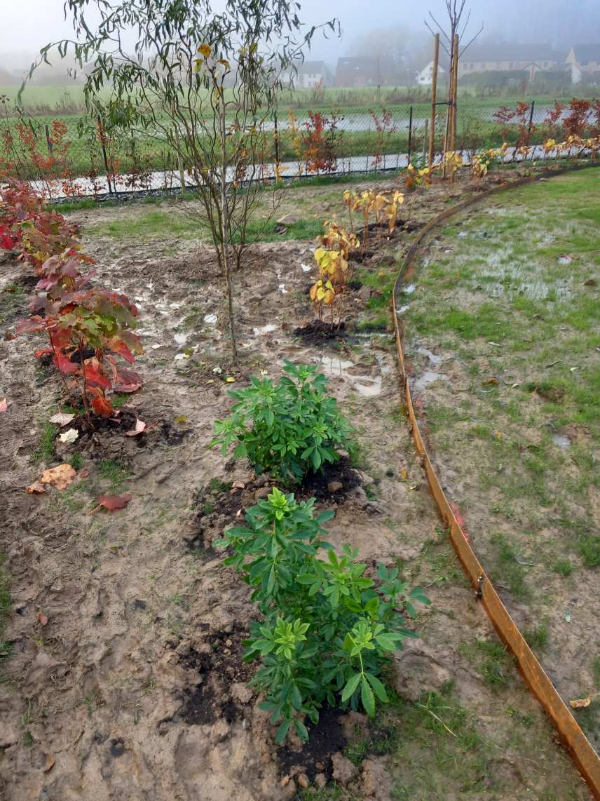 plantations