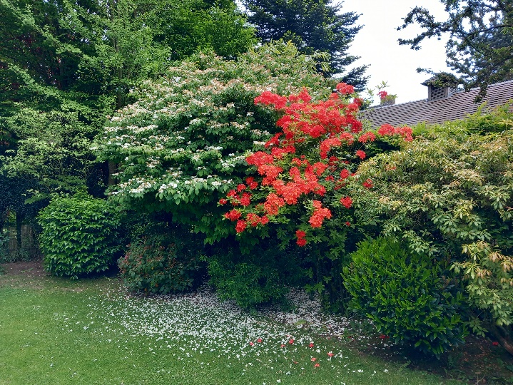 plantations
