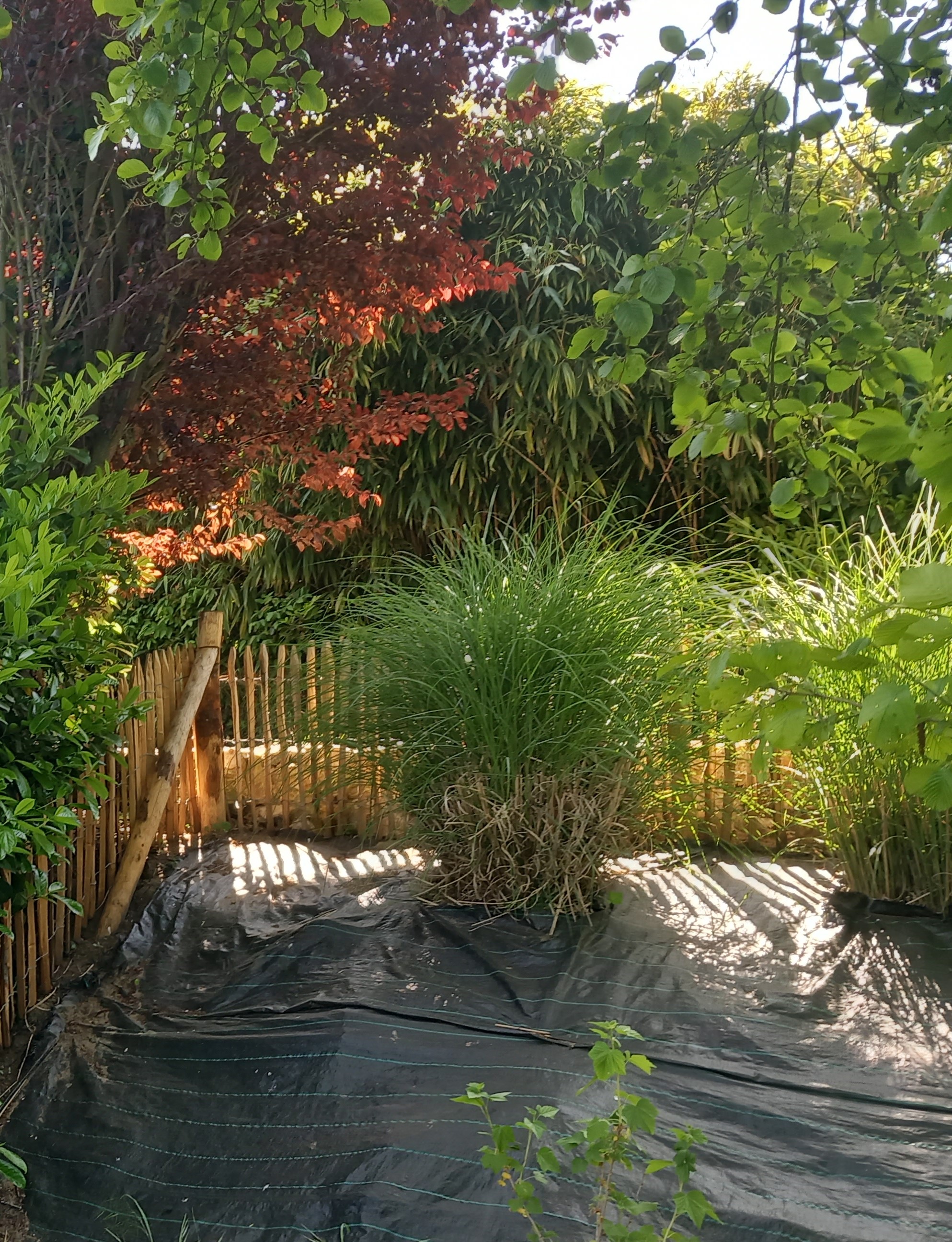 plantations