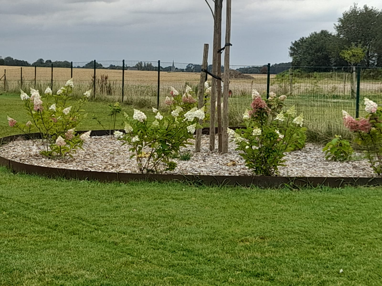 plantations